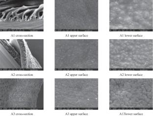 Fluid simulation of different solvents and additives for the preparation of PVDF blended membranes by NIPS method