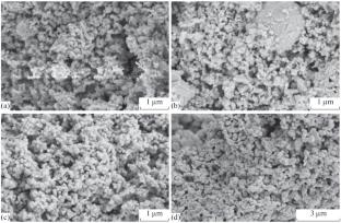 Self-Propagating High-Temperature Synthesis of MgAlON Using Mg Powder