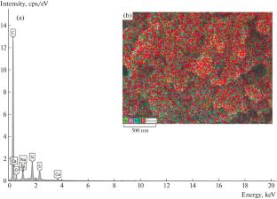 Recovered Carbon Black Filler Improves the Properties of Chitosan 3-Dimensional Composites