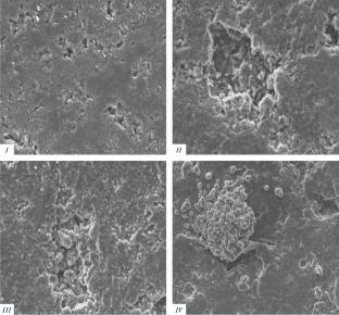 Structure of a Pyrocarbon Coating Deposited on the Surface of a Graphite Substrate