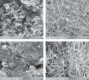 Study on the Performance of Optimized Color-Sensitive Solar Cells