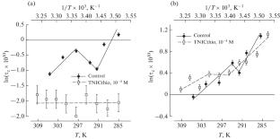 A Study of the Effect of Sodium-μ2-Dithiosulphate-Tetranitrosyl Diferrate Tetrahydrate on the Structure of Mitochondrial Membranes Isolated from Epicotyls of Pea Seedlings