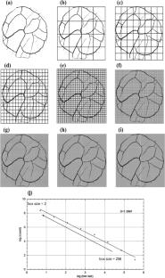 A Comprehensive study on the different types of soil desiccation cracks and their implications for soil identification using deep learning techniques