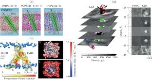 Lipid-Mediated Adaptation of Proteins and Peptides in Cell Membranes