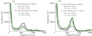 Computer Simulation of Short DNA Fragments Induced by High-LET Charged Particles