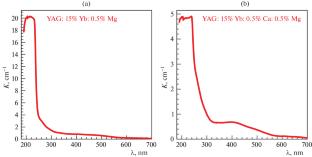 New Scintillation Crystals YAG:Yb3+:Mg2+ and YAG:Yb3+:Ca2+:Mg2+ with a Short Decay Time