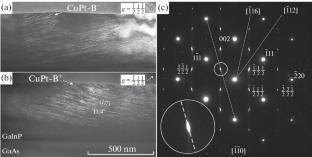 Morphology and Spatial Distribution of Ordered Domains in GaInP/GaAs(001) According to Transmission Electron Microscopy