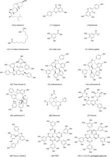 Paeonia genus: a systematic review of active ingredients, pharmacological effects and mechanisms, and clinical applications for the treatment of cancer