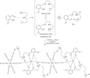 The First Structural Characterization of a \(\mathbf{Ni(NCS)}_{\mathbf{6}}^{\mathbf{4}-}\) Bridged Homometallic Ni(II) Chain Derived from an N3O Donor Schiff Base Ligand