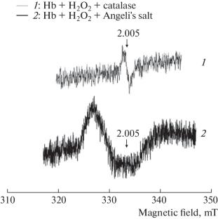 Reductive Nitrosylation of Hemoglobin and Myoglobin and its Antioxidant Effect