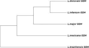 Integrated subtractive genomics and structure-based approach to unravel the therapeutic drug target of Leishmania species