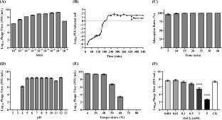 Characterization of the novel bequatrovirus vB-BcgM and its antibacterial effects in food matrices