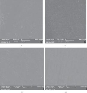 Deep eutectic solvent and poly (vinyl alcohol) based eutectogels: Characterization and properties