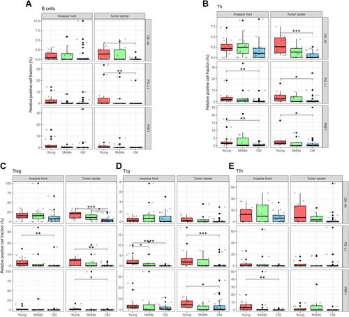 Dissecting the immune infiltrate of primary luminal B-like breast carcinomas in relation to age