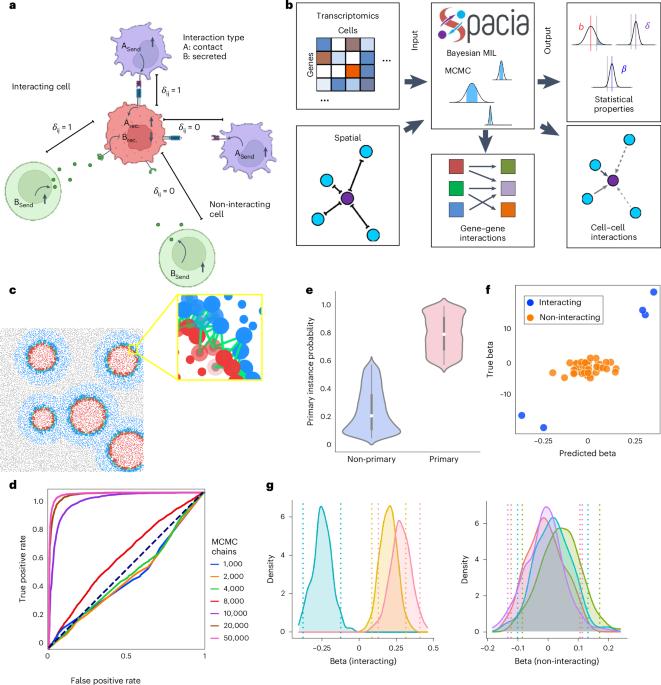 Mapping cellular interactions from spatially resolved transcriptomics data