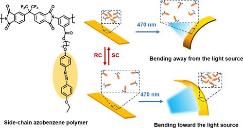 Regulating the Photodeformation Behavior of Azobenzene-Containing Polyimide via Thermal Treatment