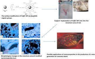 Conceptual rationale for the use of chemically modified nanocomposites for active influence on atherosclerosis using the greater omentum model of experimental animals