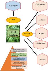 Genomic insights into codon usage bias in Cannabis sativa and pathogenic interactions