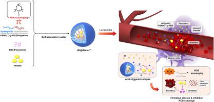 Engineering hirudin encapsulation in pH-responsive antioxidant nanoparticles for therapeutic efficacy in ischemic stroke model mice