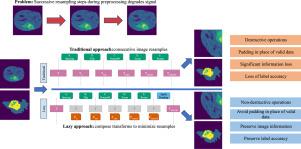 Lazy Resampling: Fast and information preserving preprocessing for deep learning