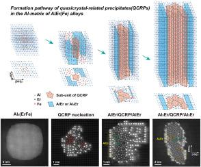 Nucleation and growth of quasicrystal-related precipitates within the Al-matrix of AlEr(Fe) alloys