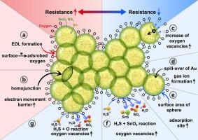 H2S gas sensing enhancement of Au-decorated SnO2 nanospheres synthesized using hydrothermal and microwave methods