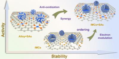 Synergistically enhanced ORR and HER performance on Co-N-C coupled in-situ generated PtCo intermetallic