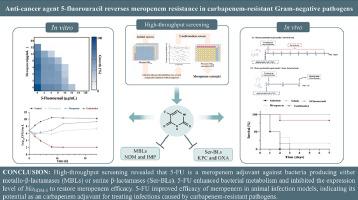 Anticancer agent 5-fluorouracil reverses meropenem resistance in carbapenem-resistant Gram-negative pathogens