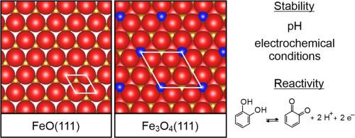 Stability and dissolution of single-crystalline iron oxide thin films in electrochemical environments