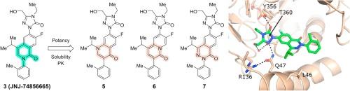 Identification of isoquinolinone DHODH inhibitor isosteres