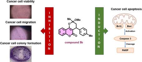 Anticancer effect of new cyclocoumarol derivatives