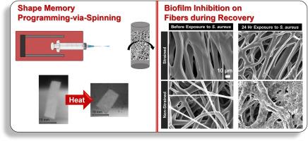 Programming-via-spinning: Electrospun shape memory polymer fibers with simultaneous fabrication and programming