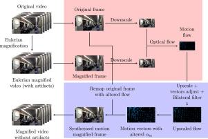 SynFlowMap: A synchronized optical flow remapping for video motion magnification