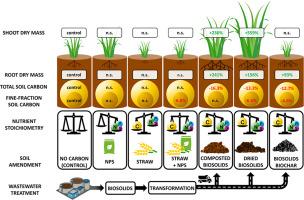 Transformed biosolids promote ryegrass growth and microbial carbon cycling at the ‘cost’ of soil carbon