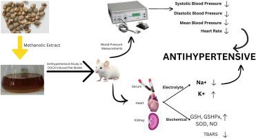 Evaluation of anti-hypertensive activity of Quercus leucotrichophora A. camus methanolic extract on DOCA-salt induced hypertensive rats