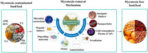 Research diversity and advances in simultaneous removal of multi-mycotoxin