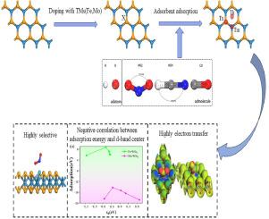 Study on highly selective NO2 gas sensors based on (Fe, Mo)-doped monolayer WSe2