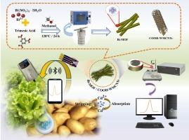 Smartphone-based portable sensor with Bi-MOF nanocomposite for Cd (II) in vegetable samples