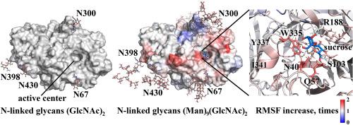 N-linked glycosylation affects catalytic parameters and fluctuation of the active center of Aspergillus awamori exo-inulinase