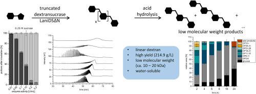 High-yield production of completely linear dextrans and isomalto-oligosaccharides by a truncated dextransucrase from Ligilactobacillus animalis TMW 1.971