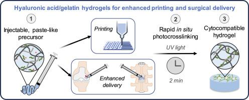 Characterization of pentenoate-functionalized hyaluronic acid and pentenoate-functionalized gelatin hydrogels for printing and future surgical placement in regenerative medicine applications