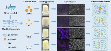 Influence of droplet size and surface hydrophobicity of soybean protein-based nanoemulsion fillers on the quality of silver carp myofibrillar protein gels