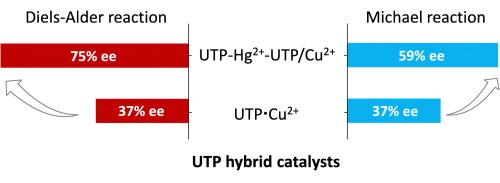 Uridine triphosphate hybrid catalyst for carbon‑carbon bond formation reactions with enhanced enantioselectivity by mercury(II) ions