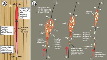 Magma through-flow and embedding of magmatic crystals in metasedimentary country rocks adjacent to the Peninsula Granite, Cape Granite Suite (South Africa)