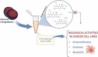 Differential cytotoxic effects of Garcinia mangostana pericarp extract on leukaemic versus normal human cell lines: insights into selective anticancer activity