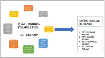 Development of multi-herbal formulation with enhanced antimicrobial, antioxidant, cytotoxic, and antiaging properties