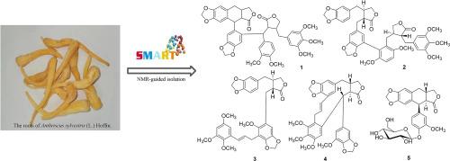 Targeted isolation of lignans from the roots of Anthriscus sylvestris (L.) Hoffm. by small molecule accurate recognition technology