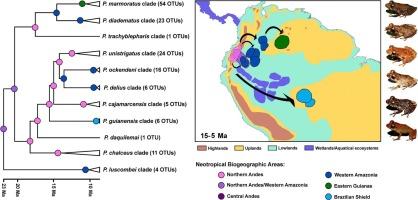 The small and inconspicuous majority: Revealing the megadiversity and historical biogeography of the Pristimantis unistrigatus species group (Anura, Strabomantidae)