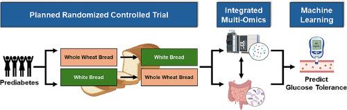 Intestinal-level anti-inflammatory bioactivities of whole wheat: Rationale, design, and methods of a randomized, controlled, crossover dietary trial in adults with prediabetes