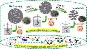 Stepwise oxidation of refractory pyrite using persulfate for efficient leaching of gold and silver by an eco-friendly copper(II)-glycine-thiosulfate system